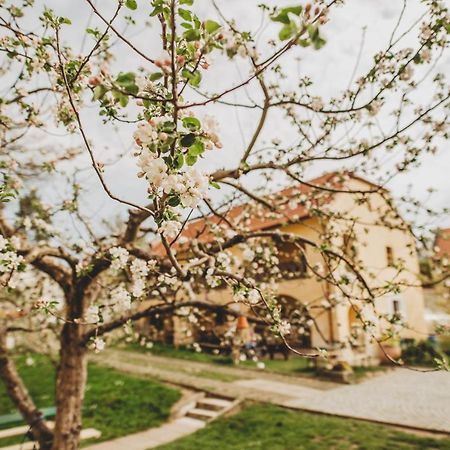 Boutique Apartman Speicher Prága Kültér fotó